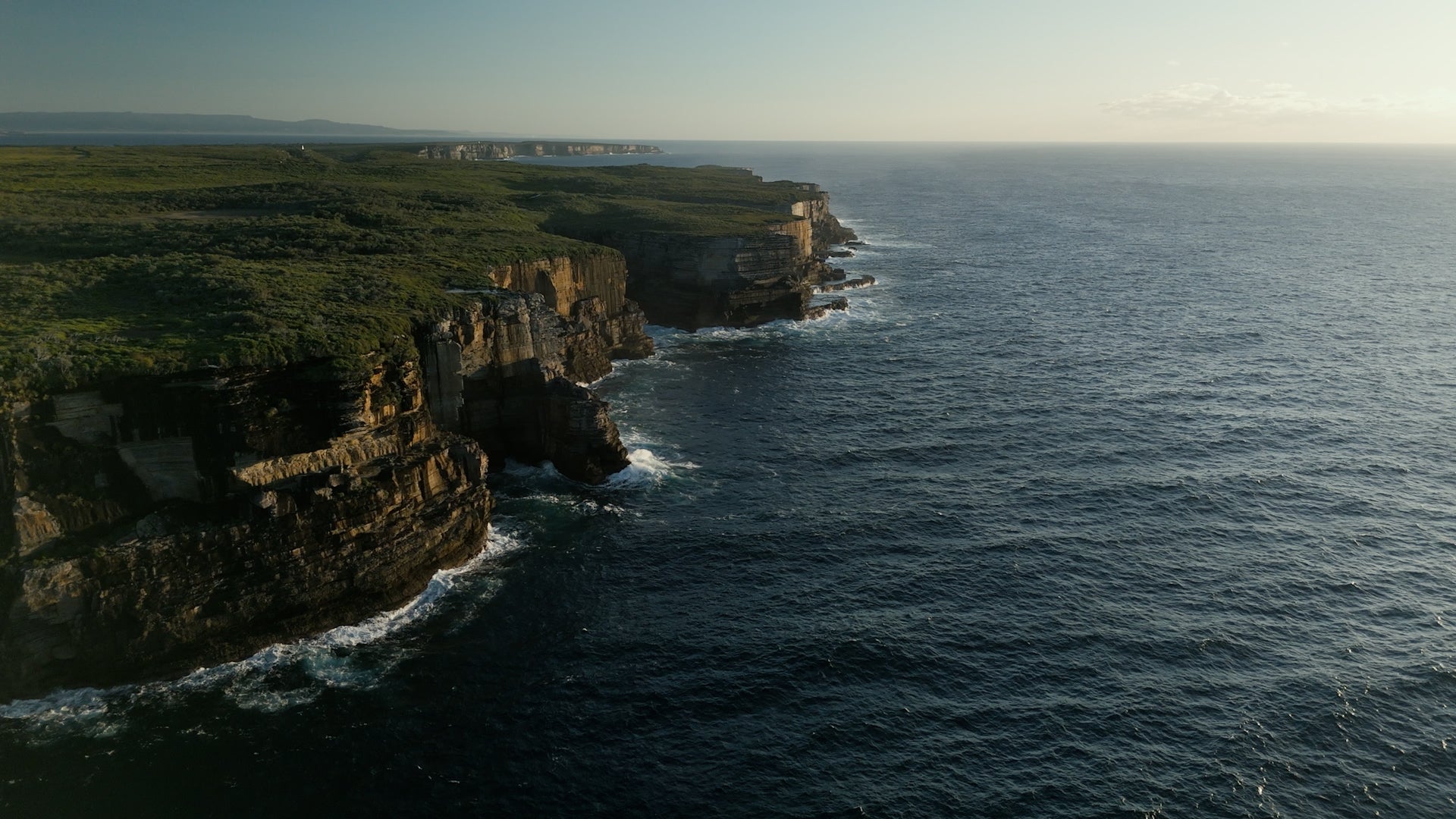 Now You See Me, The Great Southern Reef—A Sarah & Sebastian Short Film