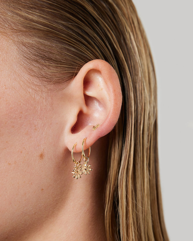 Aristotle's Lantern Cartilage Earring