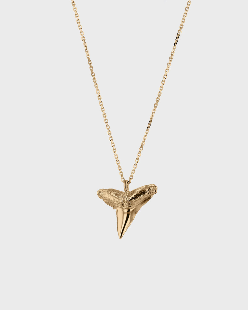 Shark Tooth Necklace Yellow Gold