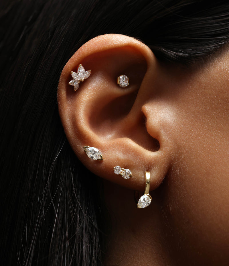 Waratah Cartilage Earring