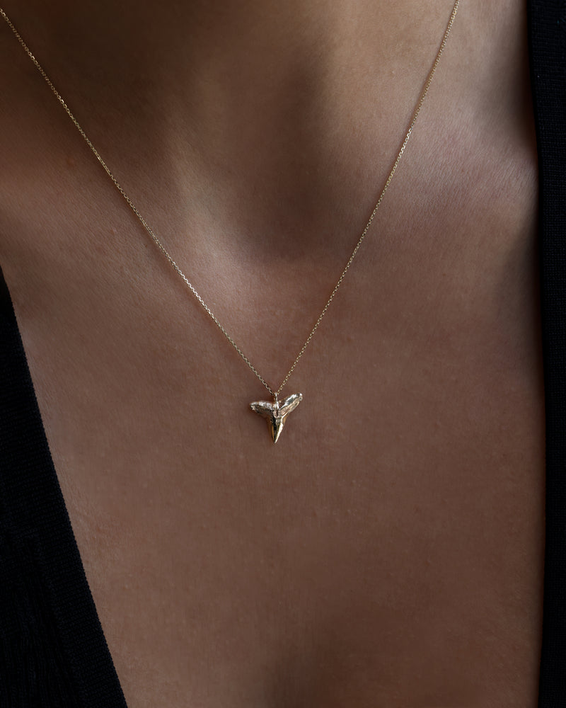 Shark Tooth Necklace