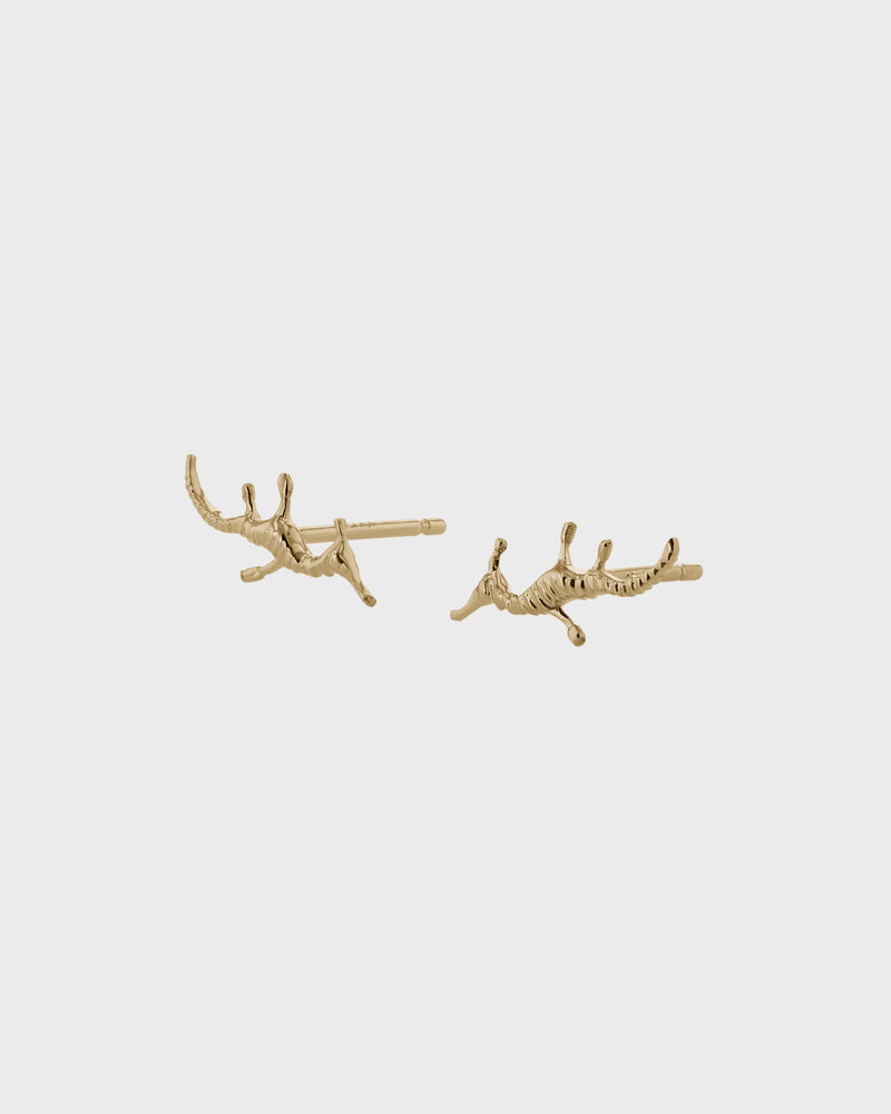 Seadragon Earrings by Sarah & Sebastian